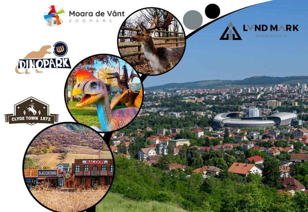 Top 5 atractii pentru copii cand te cazezi in regim hotelier Cluj